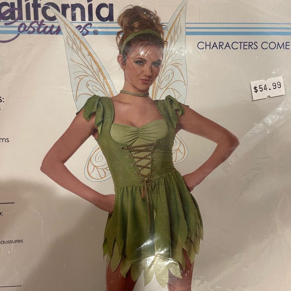 Tinker Bell Costume